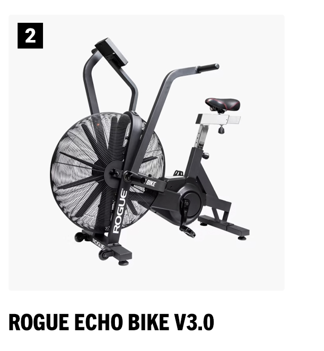 Rogue echo bike coupon hot sale